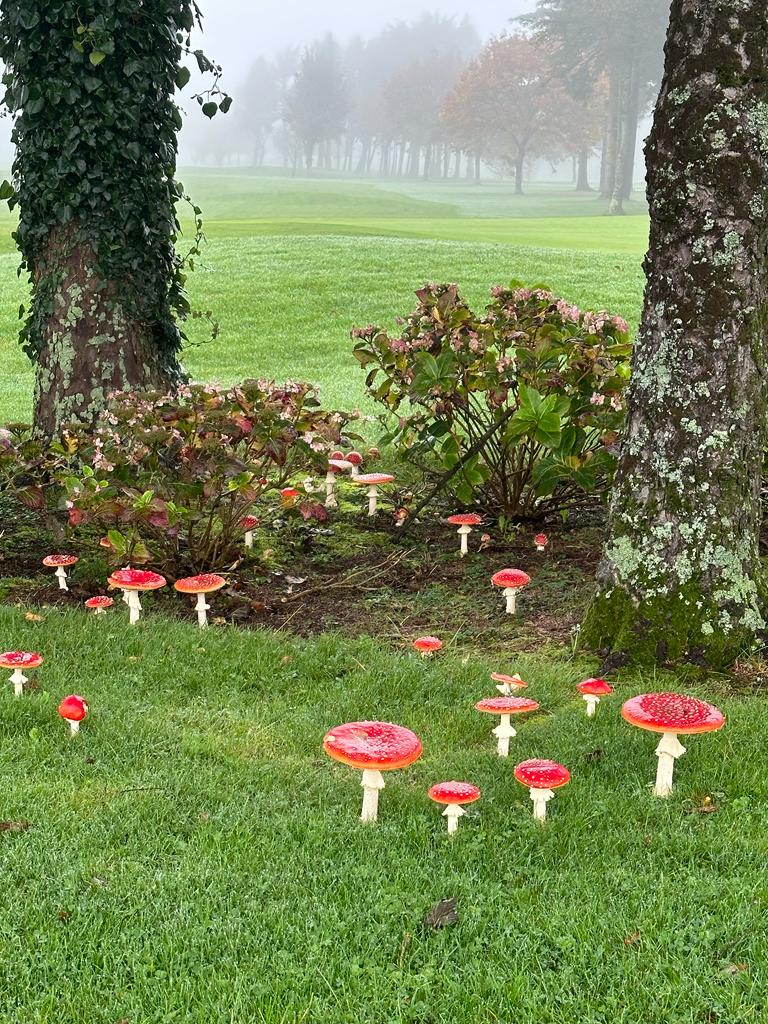 Douglas Golf Club tweet media