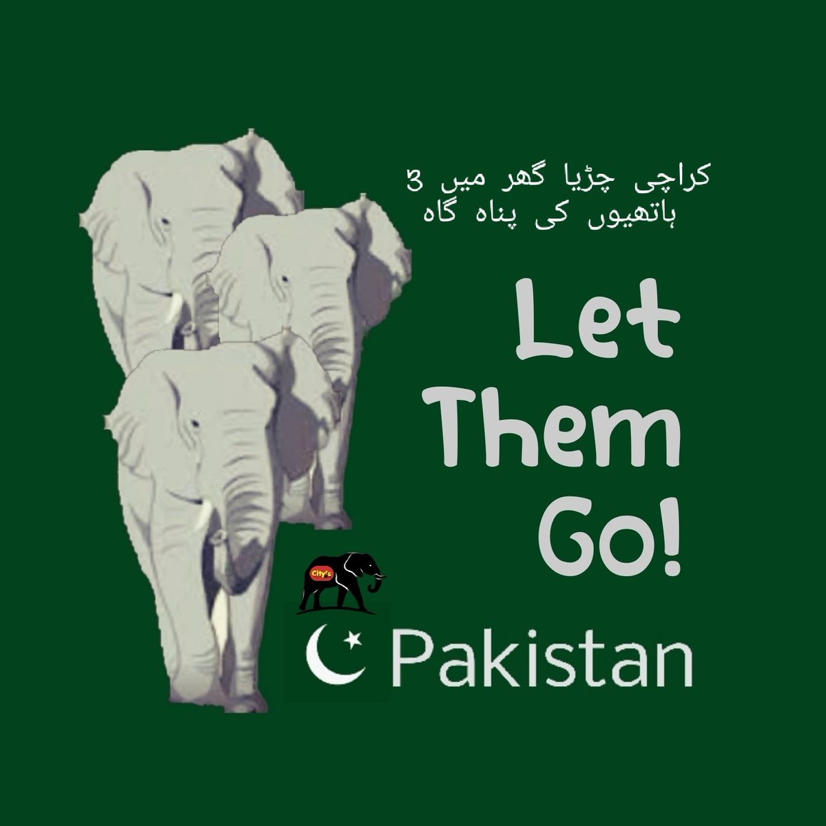 #NotAnotherNoorJehan
#MadhubalaIsNotNoorJehan
#Sanctuary4Karachi3
#LetThemGo 🦣 🦣 🦣
#ToBeAnElephant
#WeProtest ✊🏼
#EmptyPromises
#NoElephantsInPakistan
#CloseKarachiZoo
#800AnimalsSuffer
#Pakistan 🇵🇰