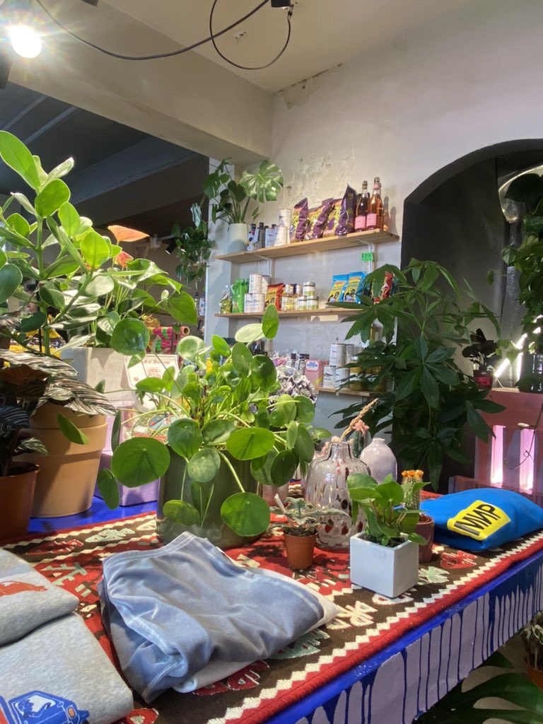 Otoha Tabata tweet media