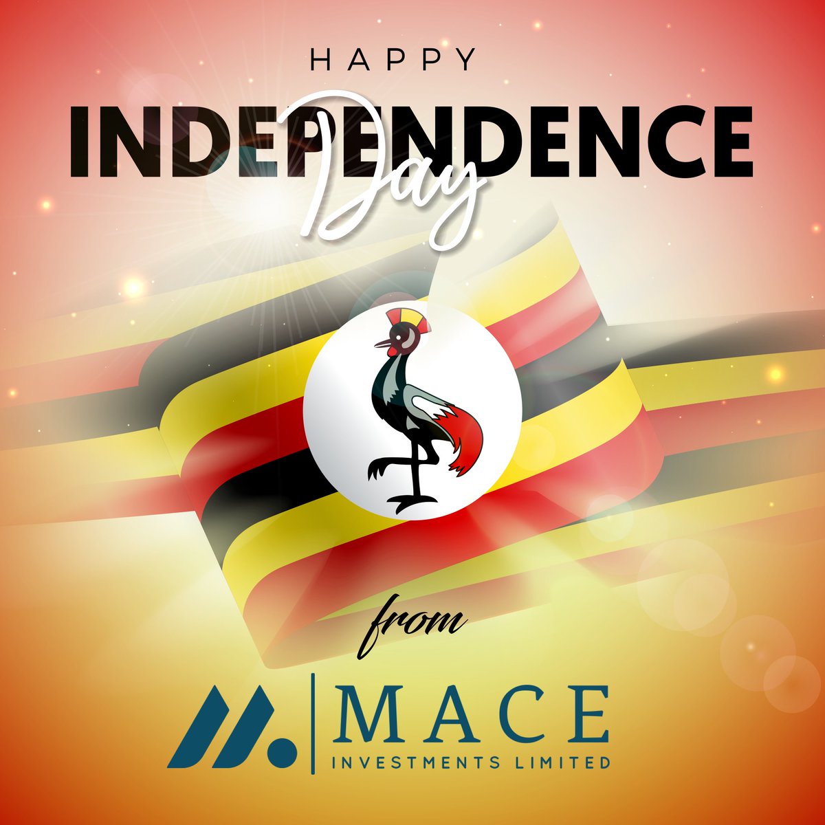 Mace Technologies Limited tweet media