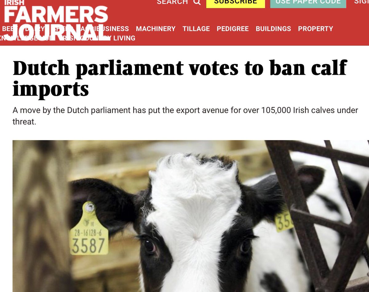 Eyes_on_Animals's tweet image. 👇