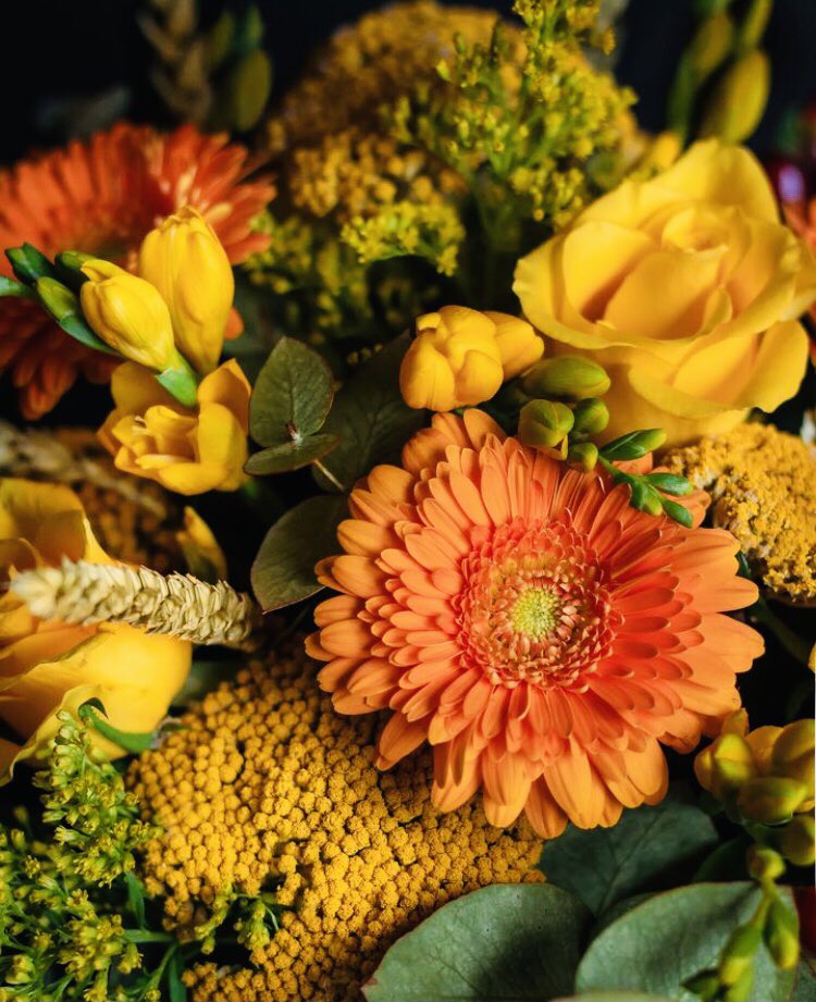 @ANGELESBERMEJO1 Thank you very much dear Angeles🧡
#autumnflowers #seasonalbeauty