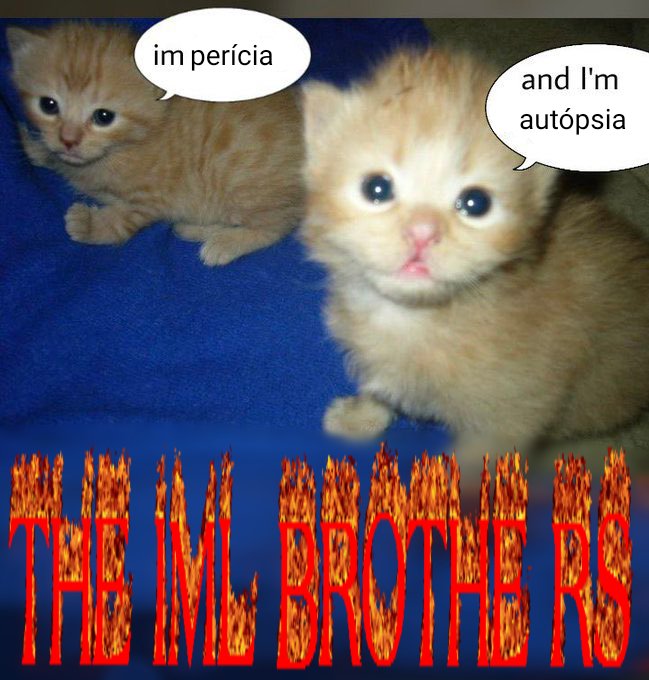 felponto's tweet image. 