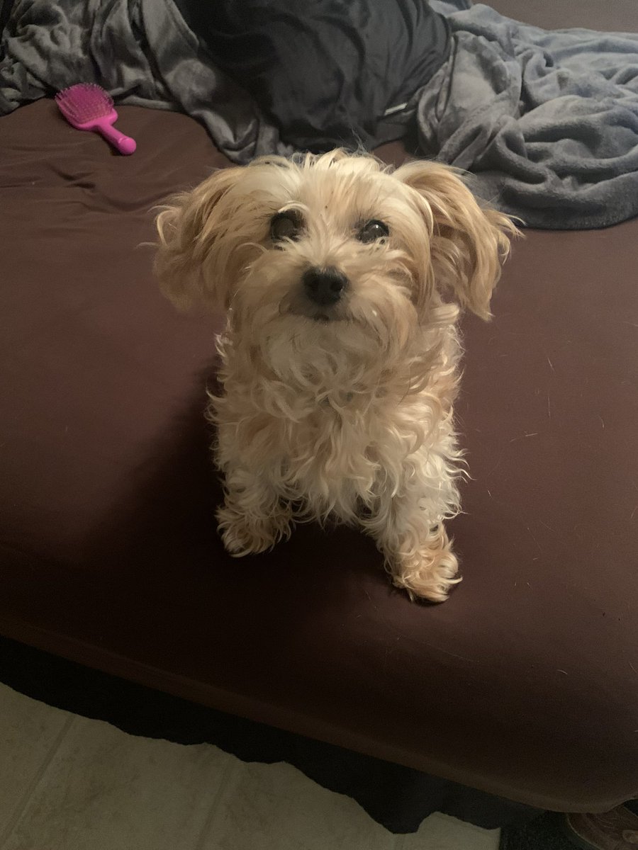 DaisyAtlanta