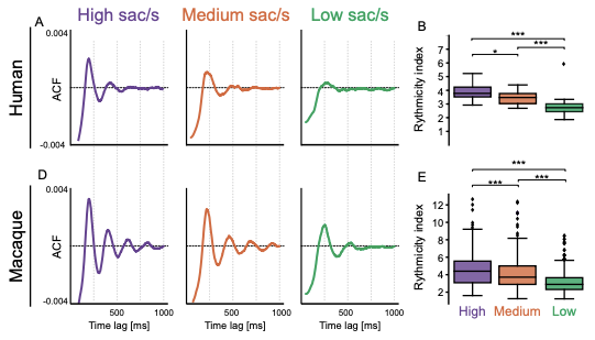 Tim Näher tweet media