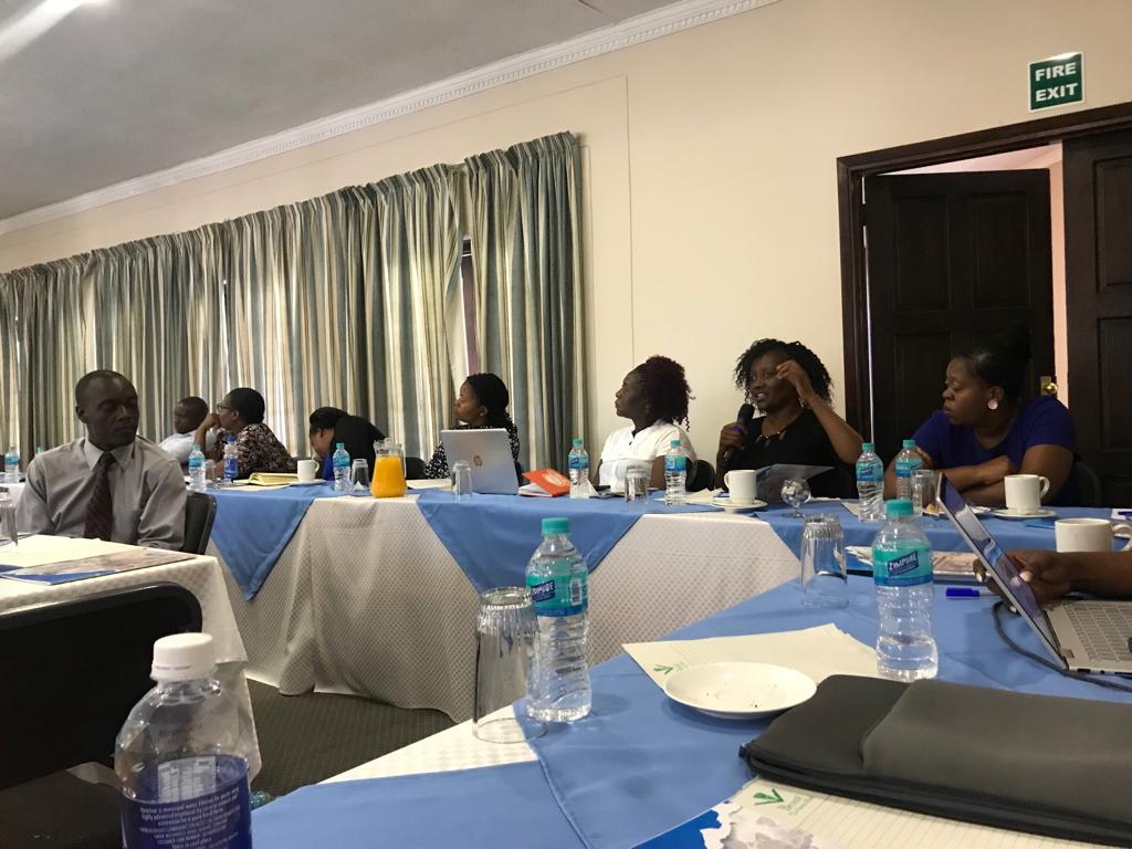 Together with other CSOs and Gvt departments we are attending provincial STATE PARTY REPORTING On CEDAW, Consultative meeting, facilitated by @mwacsmed & @unwomenzw. Ministry is giving feedback on measures taken by the Gvt towards CEDAW. @WPP_Africa @Int_IDEA @OxfaminSAF