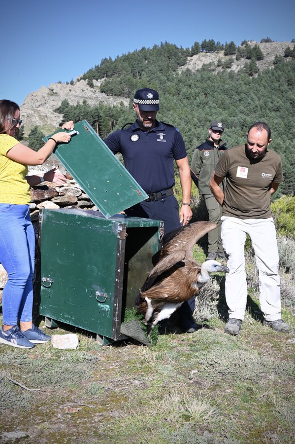 Foto cedida por Agentes Medioambientales