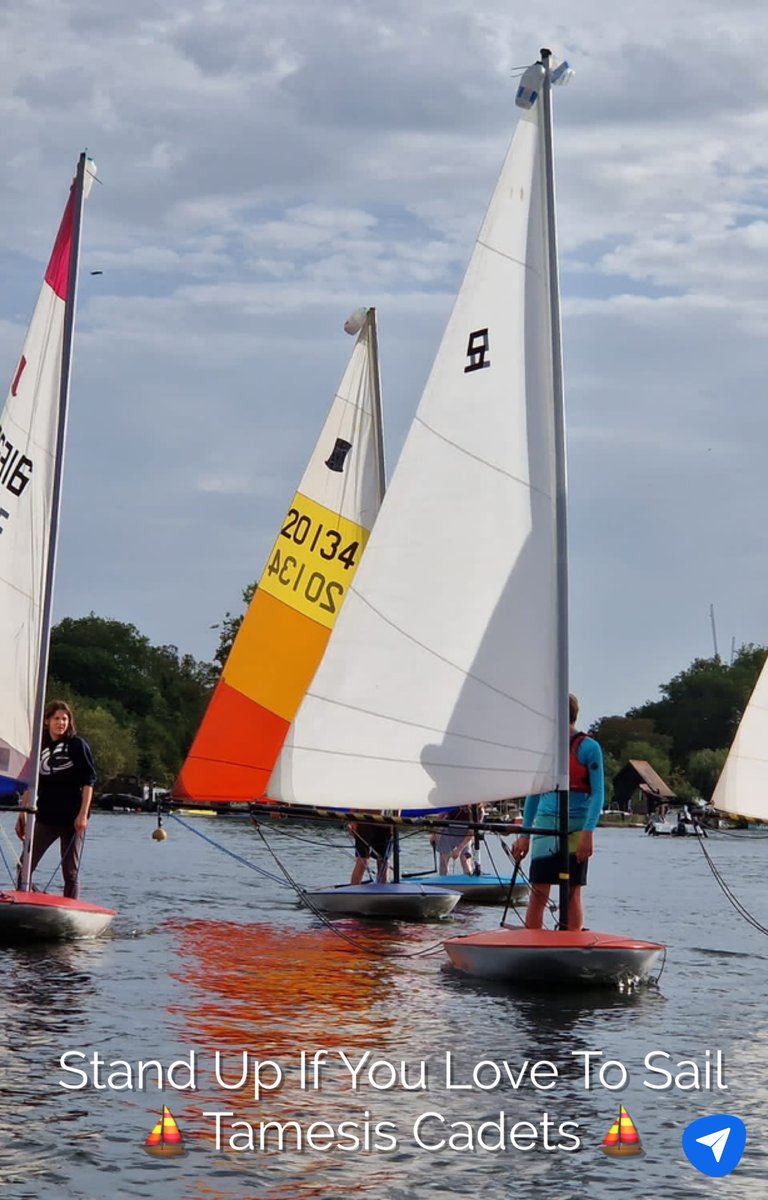 Tamesis Club tweet media