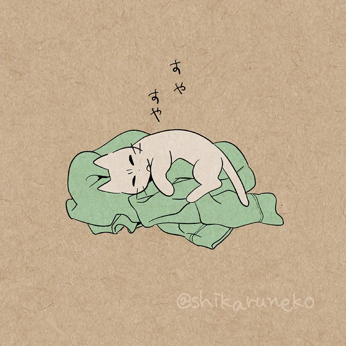 脱ぎ散らかす人を叱ってくれる猫