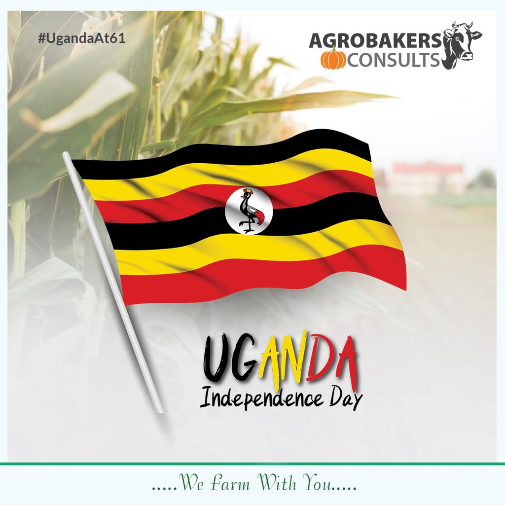 Celebrating with you 61 years of independence 🎊