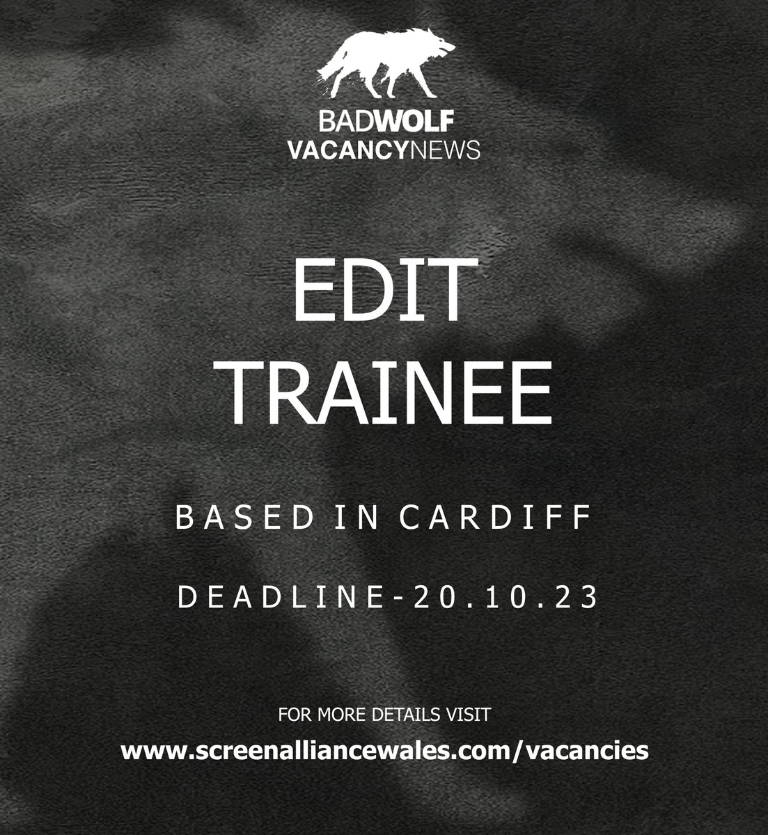 A very exciting opportunity to join a <a href="/BadWolf_TV/">Bad Wolf</a> HETV Production as an Edit Trainee!

📅 Deadline- 20th October
📍Cardiff
🔗 screenalliancewales.com/vacancies