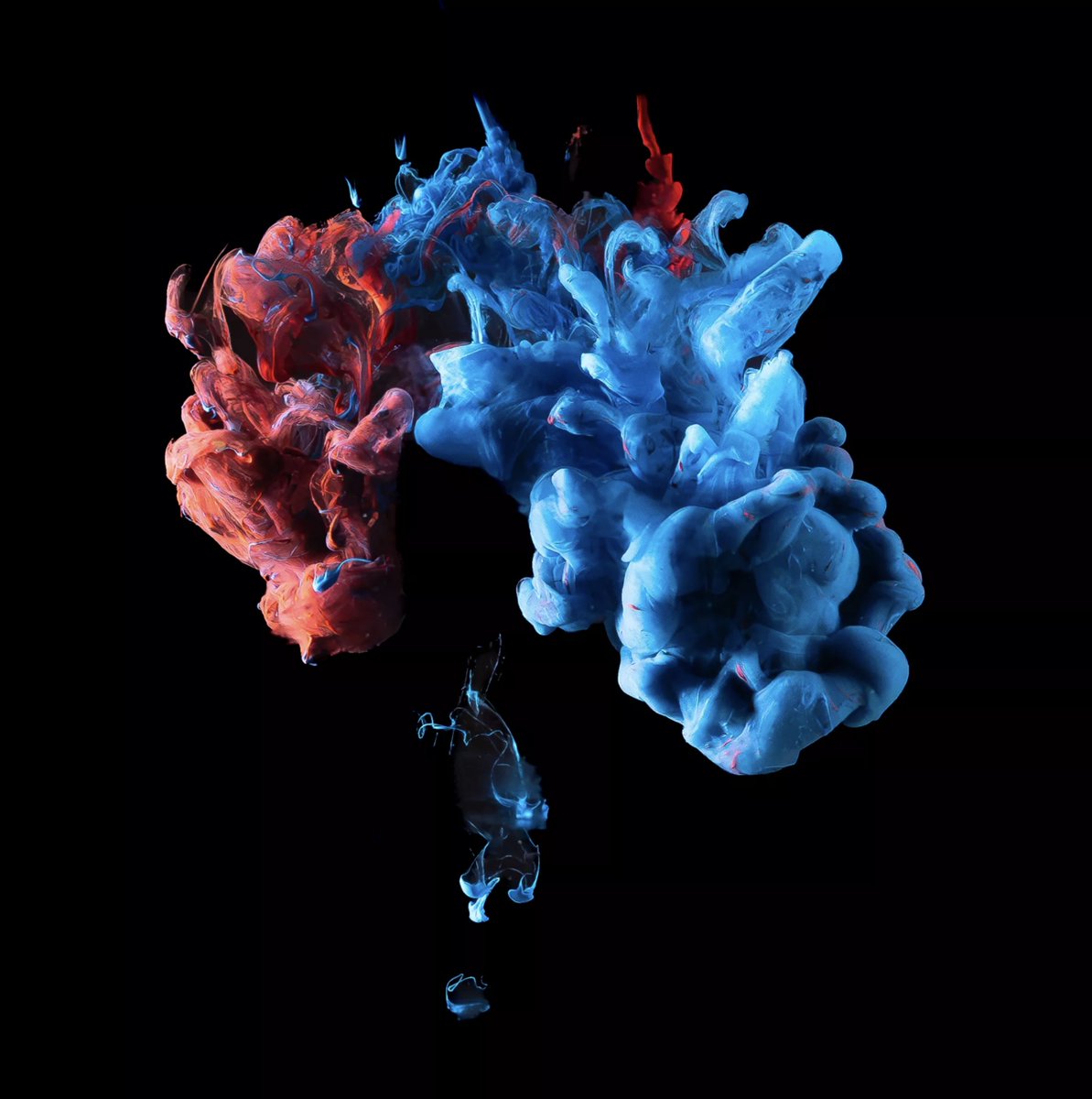 East Durham College tweet media