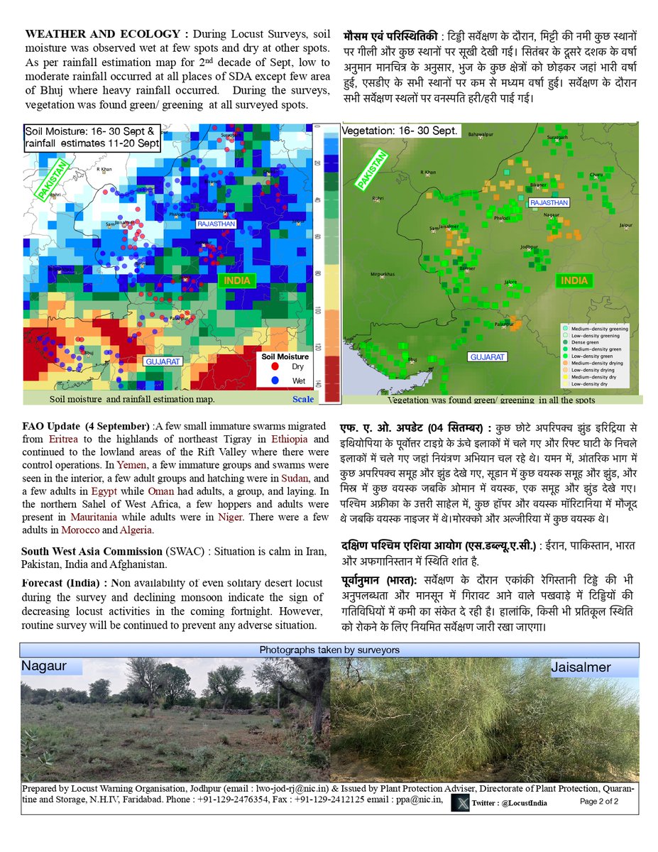 LocustIndia's tweet photo. Desert Locust Situation Bulletin SECOND FORTNIGHT OF SEPTEMBER 2023 https://t.co/tEj7exGJFd