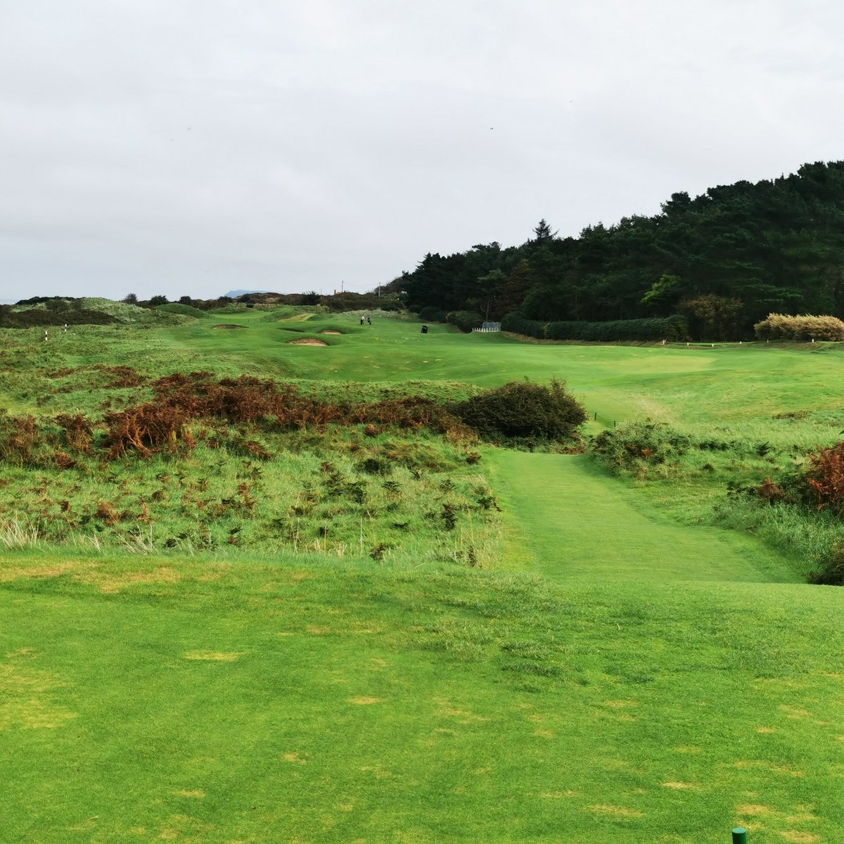 Liam Spratt tweet media