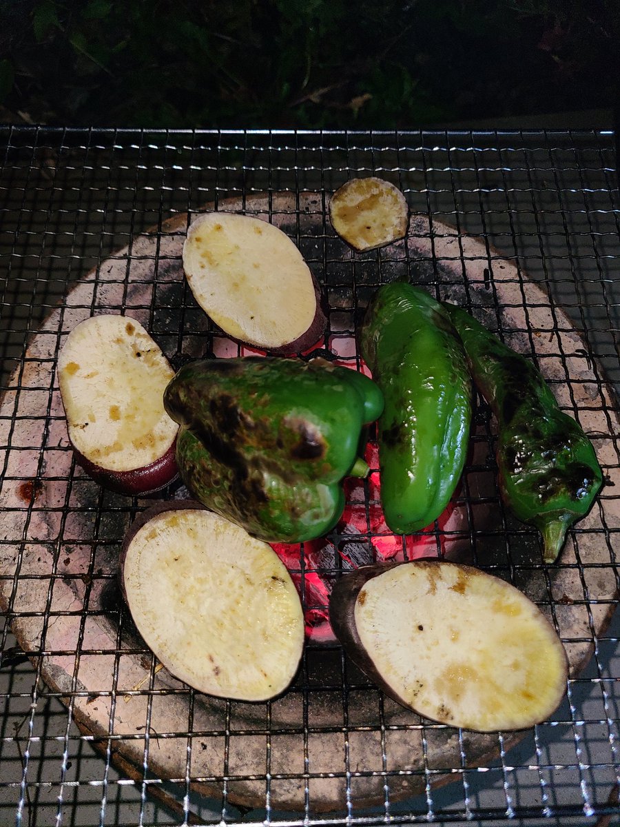 連休(勤務上ほとんど関係ない)は天気が悪かったけど、なんかしたいから冷凍庫掃除…という名の、食材あさり。笑

エビ出てきたから、焼いた。

あと、ピーマンの丸焼き。笑

娘が掘ってきた芋も一緒に焼いてみた。

#雨の三連休
#とりあえず何か焼きたい
#エビさん出てきた
#七輪最高