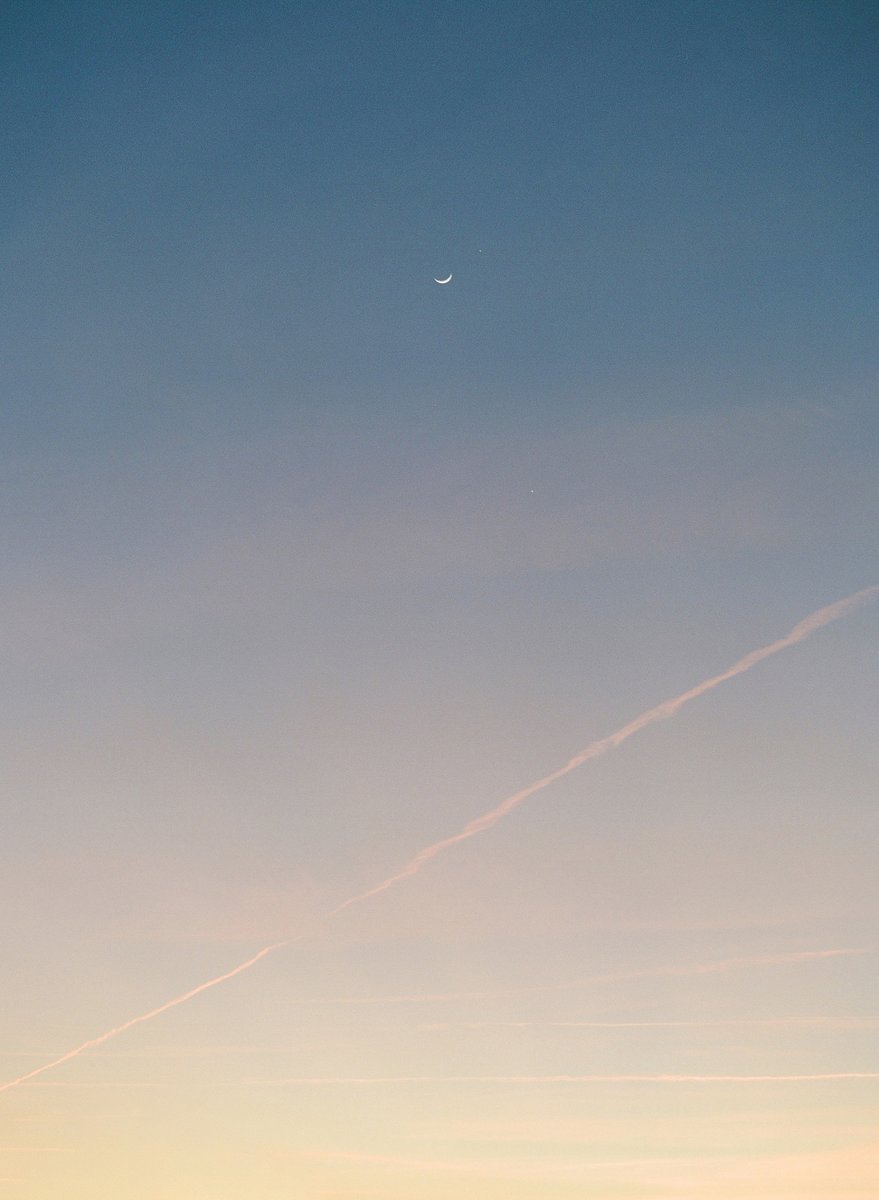 Kelsy McCartney tweet media