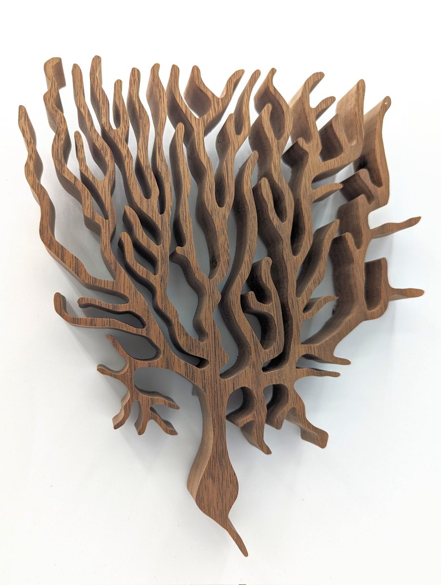 NeuroWoodworks tweet media