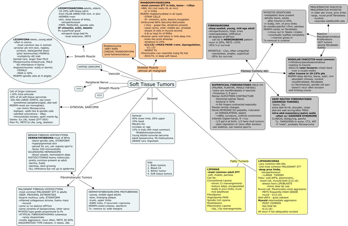 Soft Tissue Tumors Concept Map 🤓🔬

skat.ihmc.us/rid=1216959728…