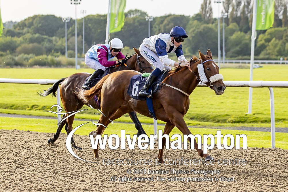 RACE 1 RESULT – Bet Boost At bet365 Handicap 🥇 Sexy Rexy Jockey: @loughnane_billy Trainer: @graceharris90 📷: Jonathan Hipkiss #WolvesRaces | #RacingWithWolvesPride