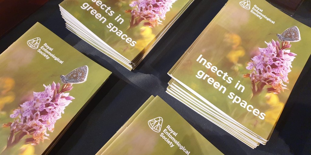 Our new guide gives you an overview of the different types of insects, with advice on how you might create a place for them to live in a green space near you.

This digital booklet can be downloaded for free 🔽
royensoc.co.uk/shop/publicati…