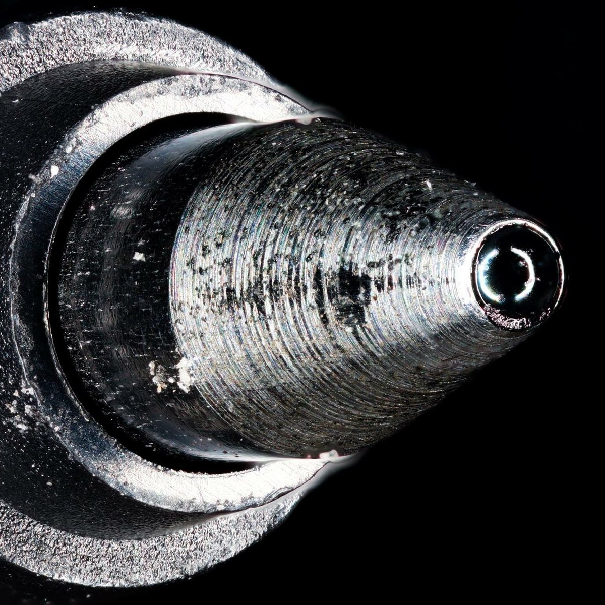clickasnap_'s tweet photo. 🎥🚫 No More Video Clutter! Experience Pure Photography on Clickasnap! 📷✨

📷️: https://t.co/CLdWGBiEqu

#photooftheday #macrophotography #photostacking #ClickASnap https://t.co/O0KtZKjF70
