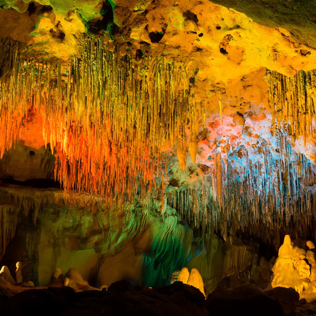 Florida Caverns State Park: Where nature gives you a rock-solid reason to explore! 🌳🕳️ Dive underground into the captivating world of limestone caves. Check us outhttps: //floridasplendors.com/are-there-caves-in-florida/ ⛰️✨ #CaveExploration #ExploreNow