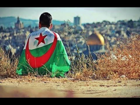 CanavaroKami's tweet photo. #الجزائر_مع_فلسطين https://t.co/8LnbybQeo6