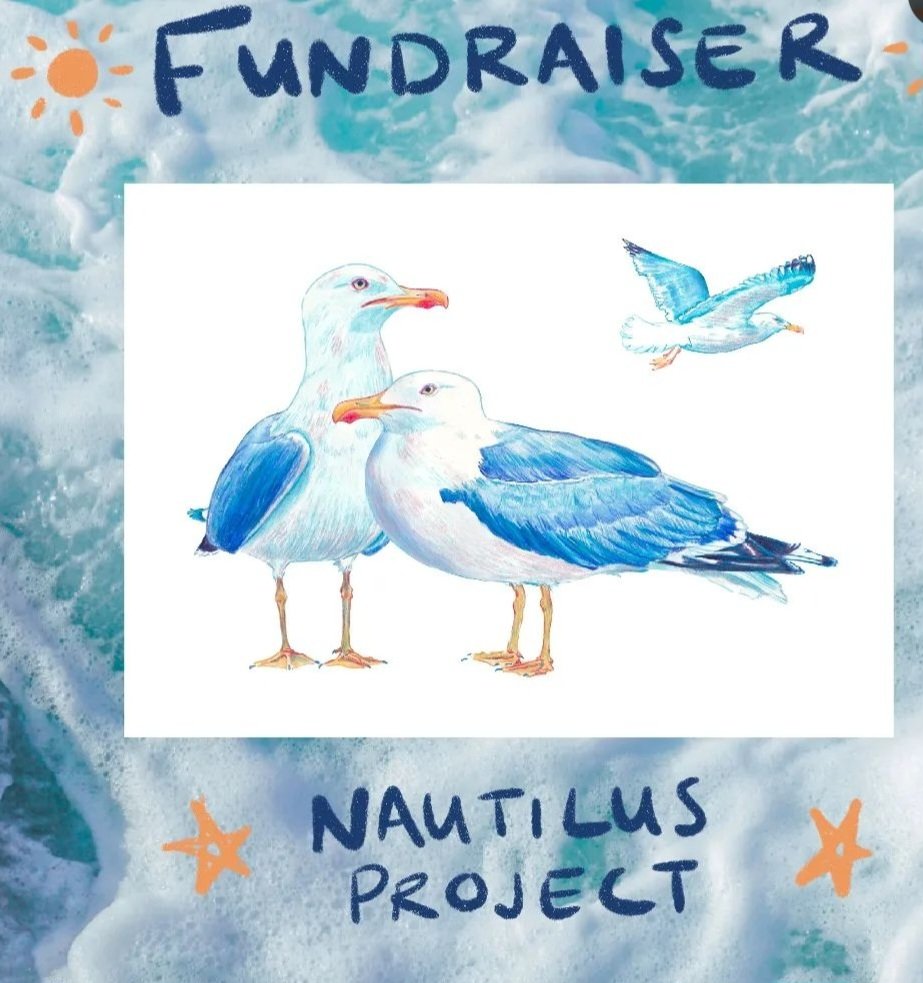 Our thanks to Victoria from #ricepaper for drawing these beautiful postcards and donating a £50 profit to the charity 🌊 Appreciated 💙 #registeredcharity297 #gibraltar #donation #grateful #seagulls