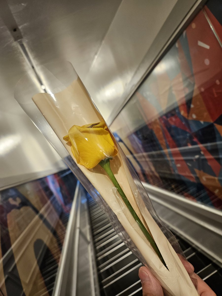 #우주선을_보낸_후기

쌍둥이의 삐삐카페 꽃 선물..ㅠㅜ
고마워 쌍둥이
너무 오랜만이라 못 알아보긴 했지만!ㅋㅋㅋㅋㅋㅋ
담에도 꼭 보자구