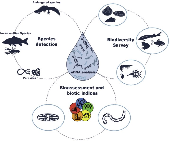 يوجد مصطلح اسمه eDNA وهو اختصارًا لـ Environmental DNA 
وهو الحمض النووي البيئي (eDNA) اي المادة الوراثية التي تتركها الكائنات الحية في محيطها، وتمكننا من اكتشاف وجودها دون الحاجة لمشاهدتها عن قرب.