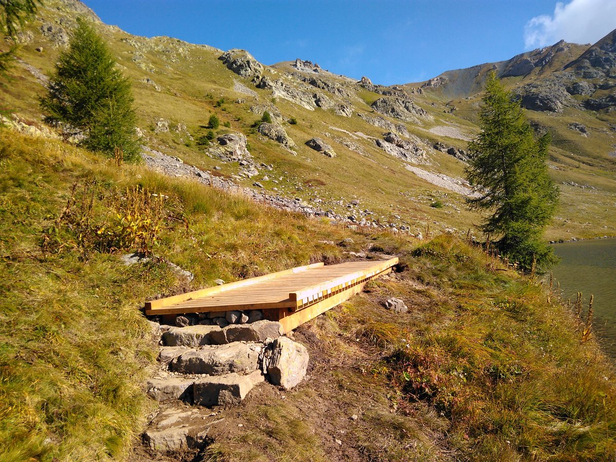 PITER ALPIMED tweet media