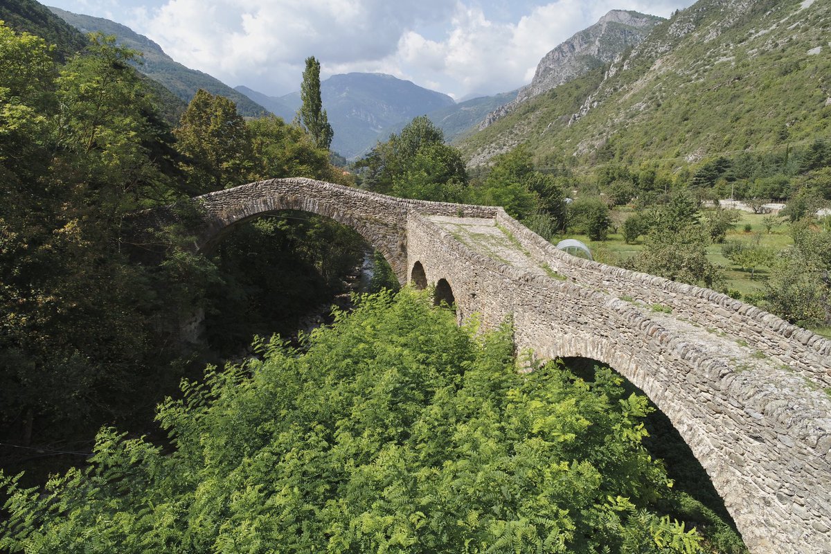 PITER ALPIMED tweet media