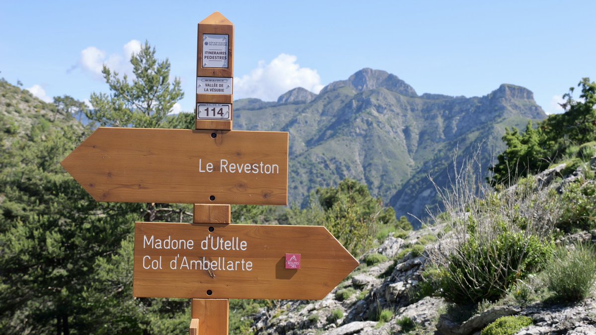 PITER ALPIMED tweet media