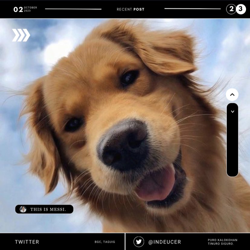 ︎ ︎

︎ㅤㅤㅤㅤㅤINDEUCER.⠀ ༄   SNS UPDATE.

ㅤㅤㅤㅤㅤ100223. BGC, TAGUIG. 𖤓
ㅤㅤㅤㅤㅤATHLETE:   OFF-SEASON.

ㅤㅤㅤㅤㅤ“I took all the kids to play at the nearby park! Shoyo &amp; Bonbon were taking a nap beside me &amp; these two decided to match pictures.” 

︎ ︎ㅤ