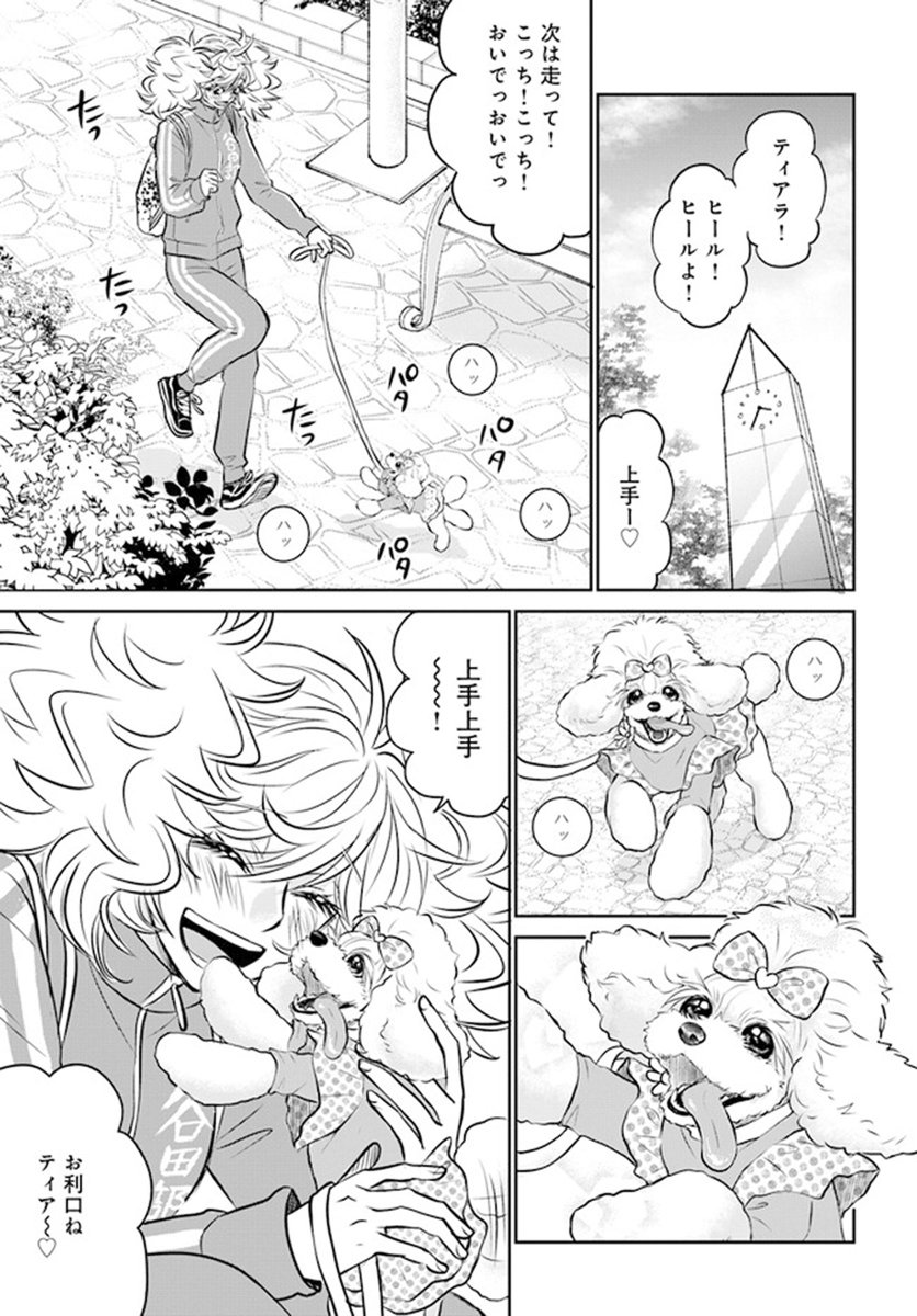🎉10月6日発売ブリッジコミックス🎉 『DOG SIGNAL⑩』 (作:みやうち沙矢@DogSignal)が本日発売だにゃん🎶 ▼試し読みはこちらから▼ https://comic-walker.com/contents/detail/KDCW_CB01200483010000_68/ #コミックブリッジ #うちのこシグナル