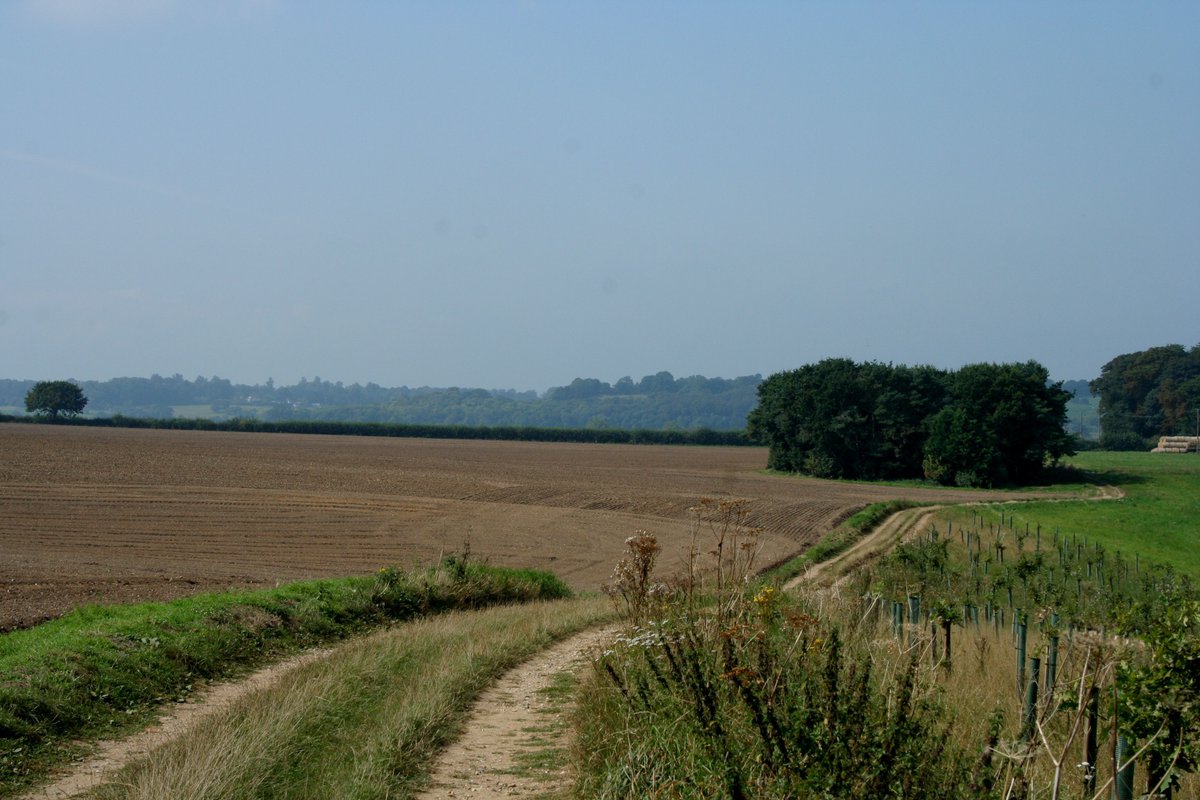 Jacqueline Harris tweet media