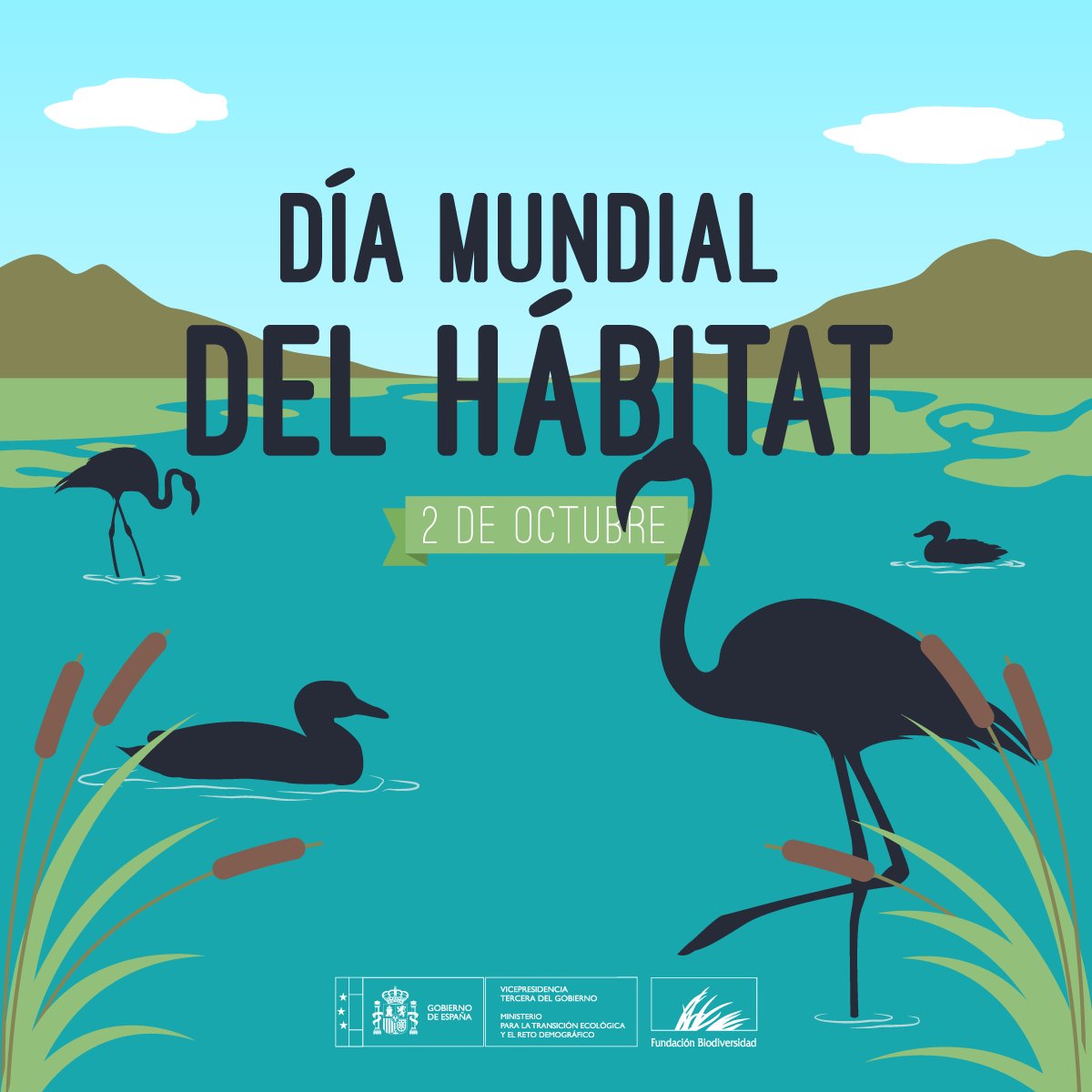 FBiodiversidad's tweet photo. Sólo el 15% de los hábitats presentes en la UE 🇪🇺 están en buen estado.

Debemos proteger los hábitats para proteger nuestro futuro. Su desaparición y deterioro es la principal causa de pérdida de #biodiversidad 💪🏞️

#DíaMundialDelHábitat https://t.co/1qOqRrzN2B