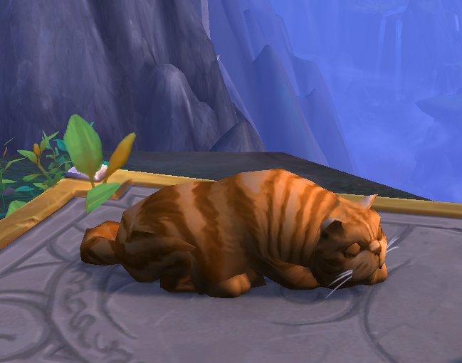 MoniBadea's tweet photo. 100/10 would spam /pet on this chonker #dragonflight #worldofwarcraft @Warcraft https://t.co/ul1hI4Fm9b