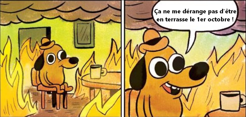 Maître Pandaï (@panda31808732) on Twitter photo 