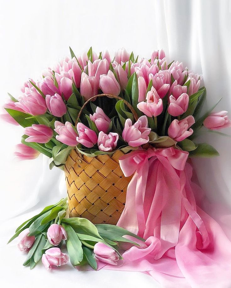 huda_463's tweet photo. كالورود عَلى قَدرِ الإهتمامِ نُزهر🤩💐
#صباح_الخير_والسعاده_للجميع 
#صباح_الخيرᅠ https://t.co/t73WVCG366