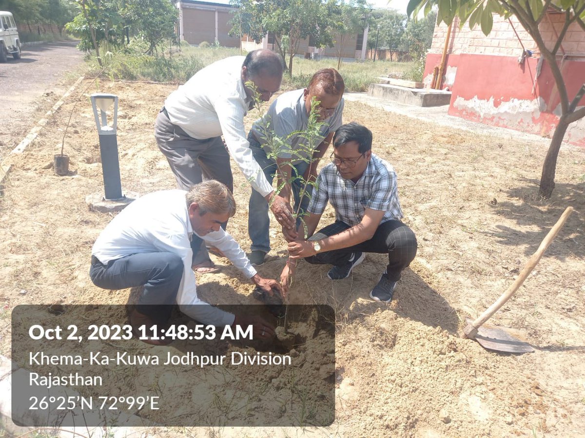 LocustIndia's tweet photo. टिड्डी चेतावनी संगठन, जोधपुर के कार्यालय परिसत में आज वृक्षारोपण का कार्य किया गया | https://t.co/WWs3tznhec