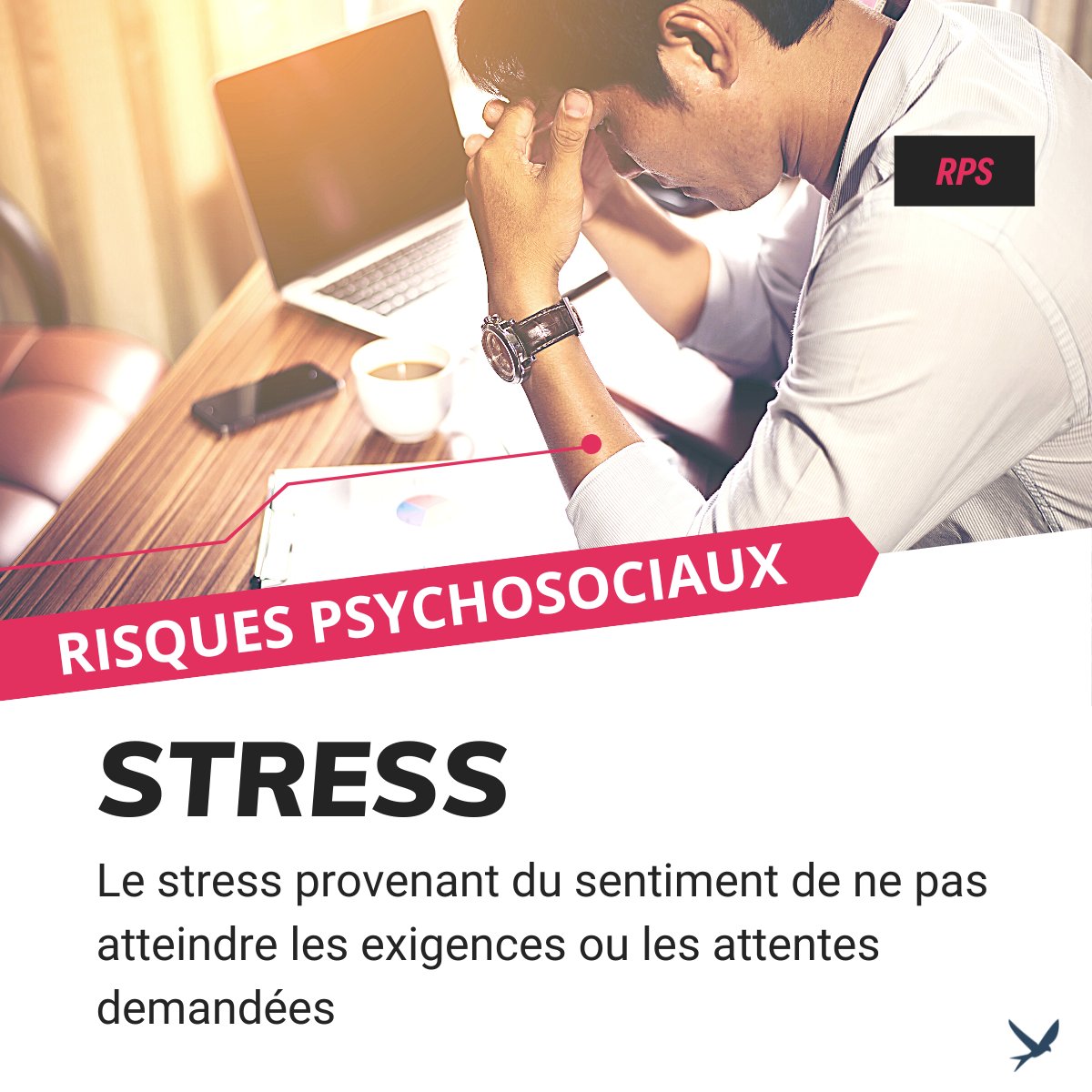 Positive You tweet media