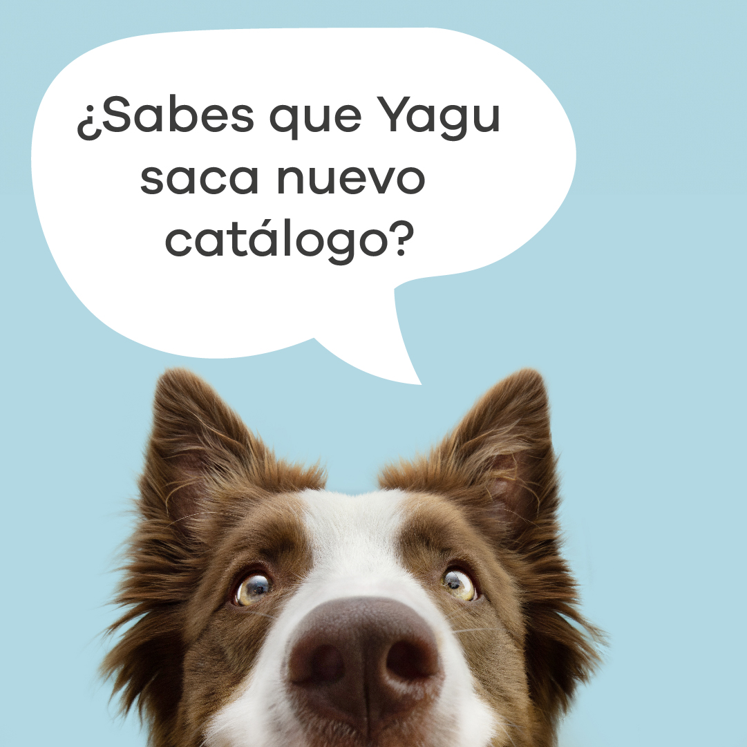 ¡Así es! Mañana sacamos nuevo catálogo con todas las novedades en nuestros productos de descanso.
¡Estate atent@ a nuestras redes!

#grupoYAGU #mascotas #petlovers #lavidaconmascotas #mascotasfelices #lavidaconperrosesmejor #camasparaperros #camasparamascotas #perrosygatos