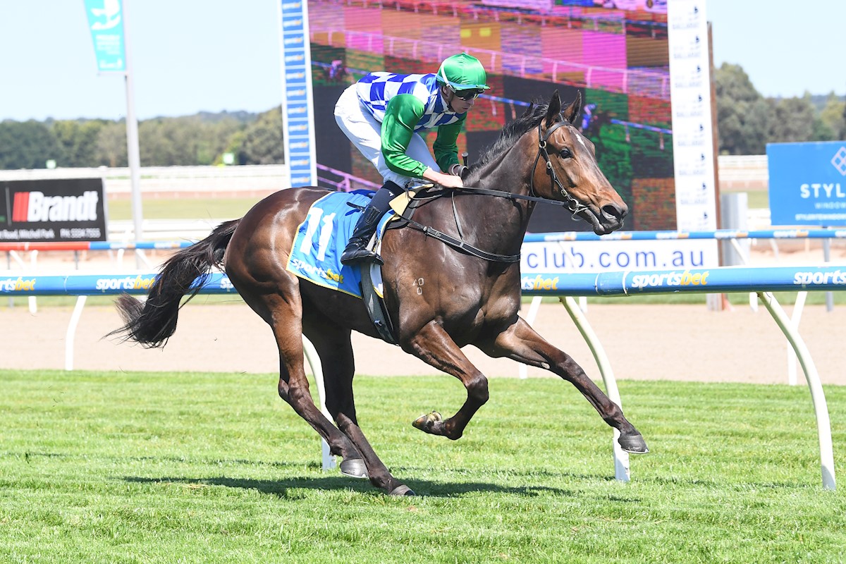 lindsayparkrace's tweet photo. Ersa breaks her maiden in fine style over the mile! Always a filly who showed promise, the team were delighted to see Ersa relish the increase in trip today at Ballarat. Congratulations to owners Gerry Ryan and Jonathan Hardwick, onwards and upwards from here! https://t.co/ptYQXOza3s