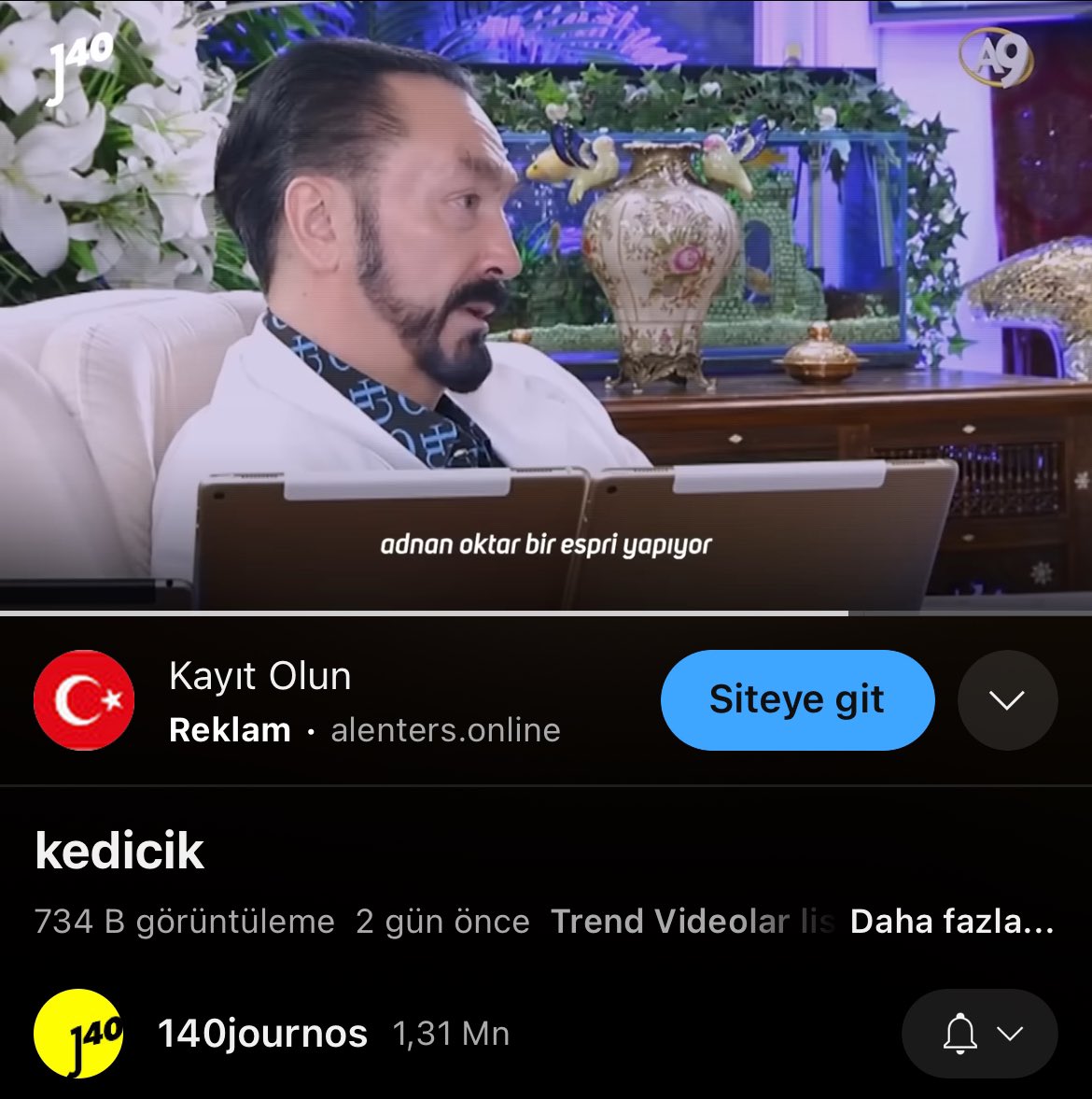 Kedicik belgeselini izledim. Şu kadınlarla ilgili geçmiş düşüncelerimden çok utandım. Konumlandıkları yerlerin bir seçim olduğunu düşünürdüm. Maalesef içinden çıkılması imkansız bir çukur olduğunu anladım. Cidden okullarda falan izletilmesi gerekiyor.