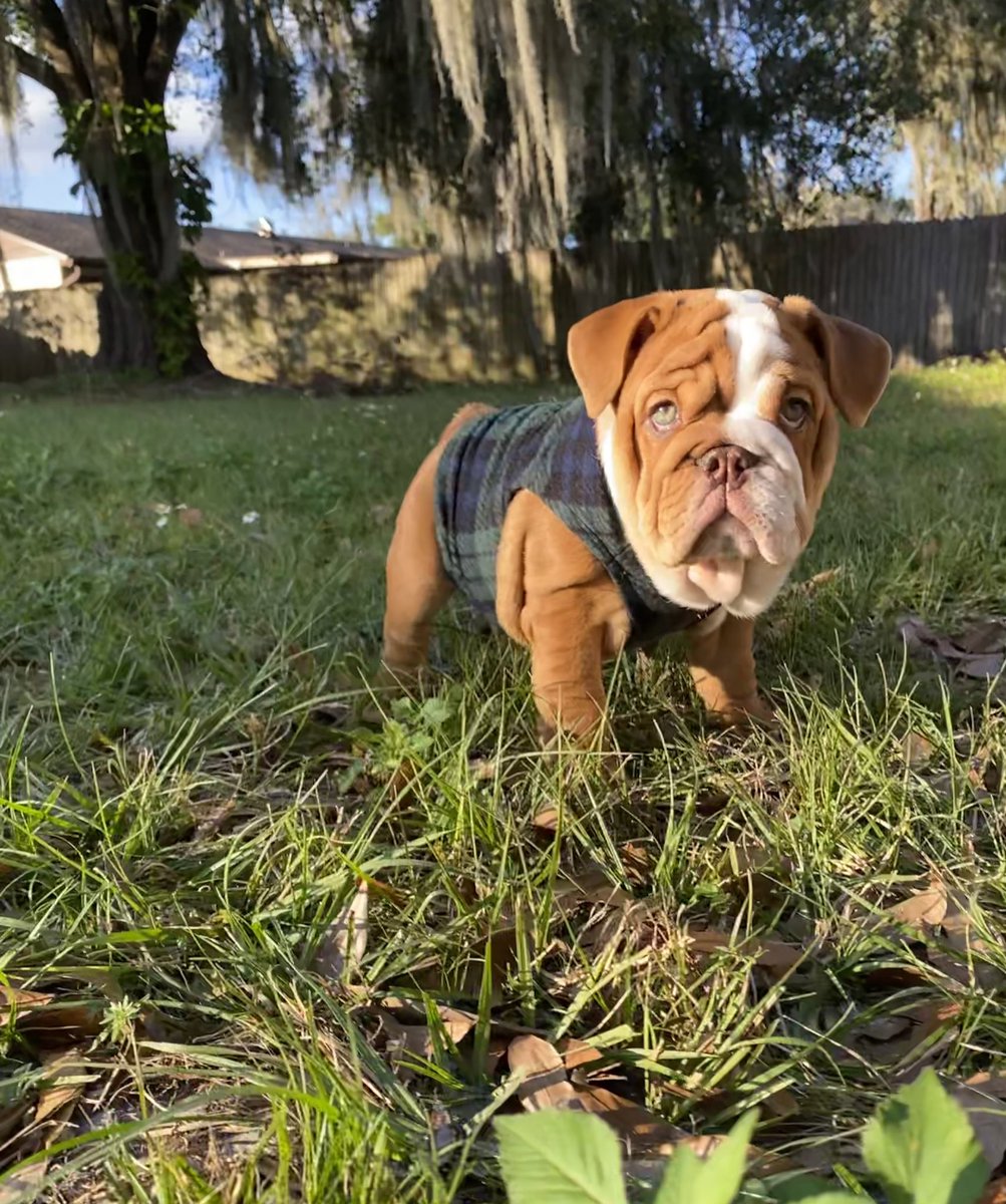 Cheyenne tweet media