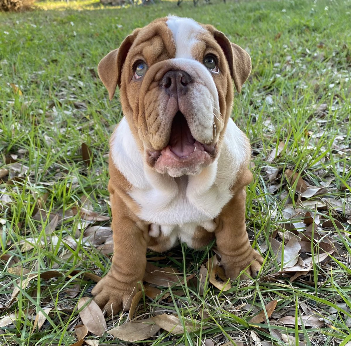 Cheyenne tweet media