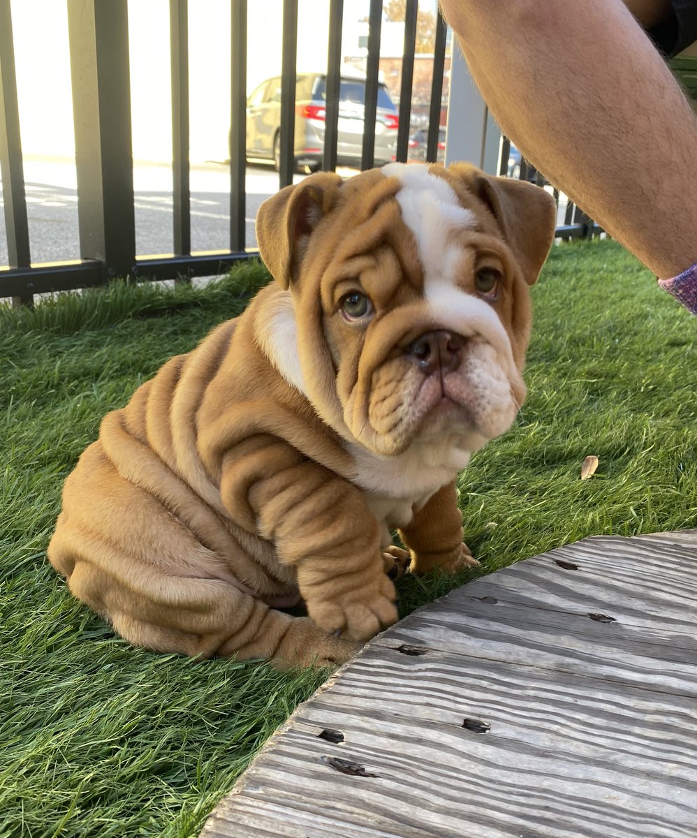 Cheyenne tweet media