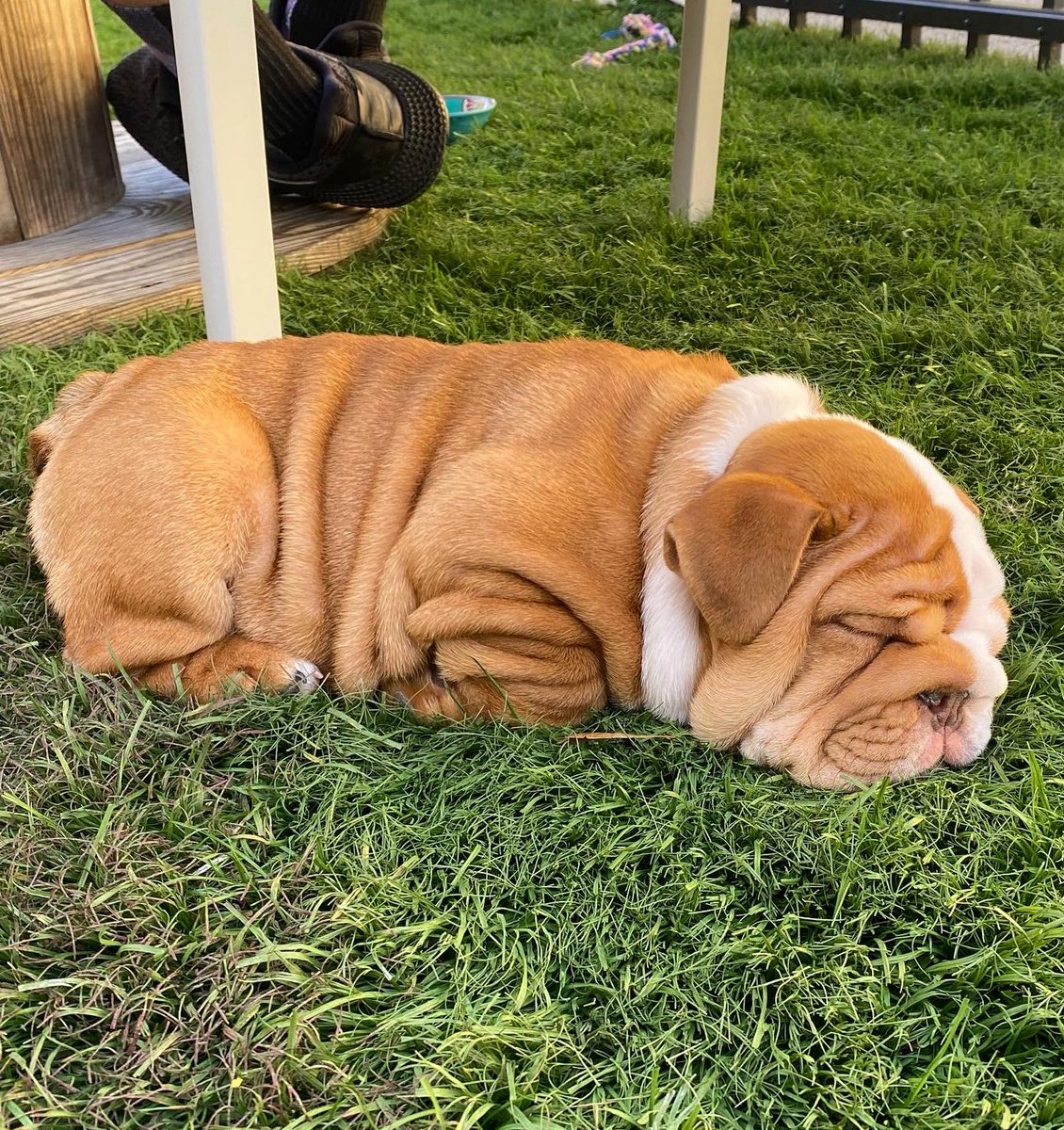 Cheyenne tweet media