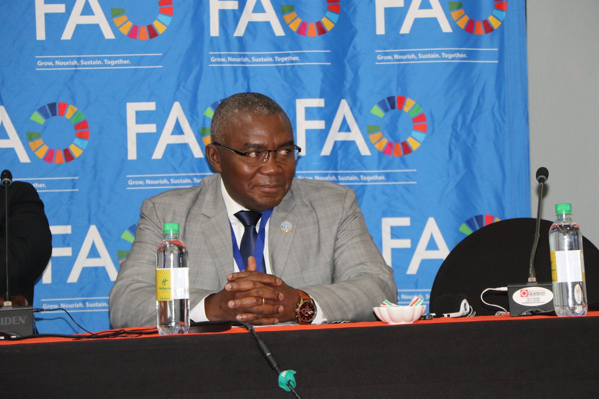 FAOSouthAfrica's tweet photo. #AFSHS "Fertilizer is key to our development and FAO will continue to support SADC in all initiatives to ensure that this is realized" Dr Patrice Talla in opening the meeting - Johannesburg  @faosfsafrica https://t.co/xxGPuucr1c